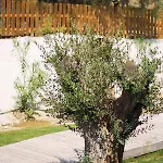 Szálloda Aqua Bay 5*