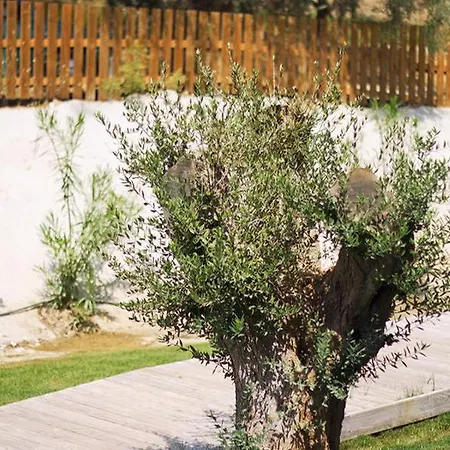 מלון Aqua Bay 5*